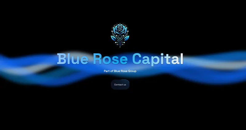 Screenshot of bluerosecapital.co.uk
