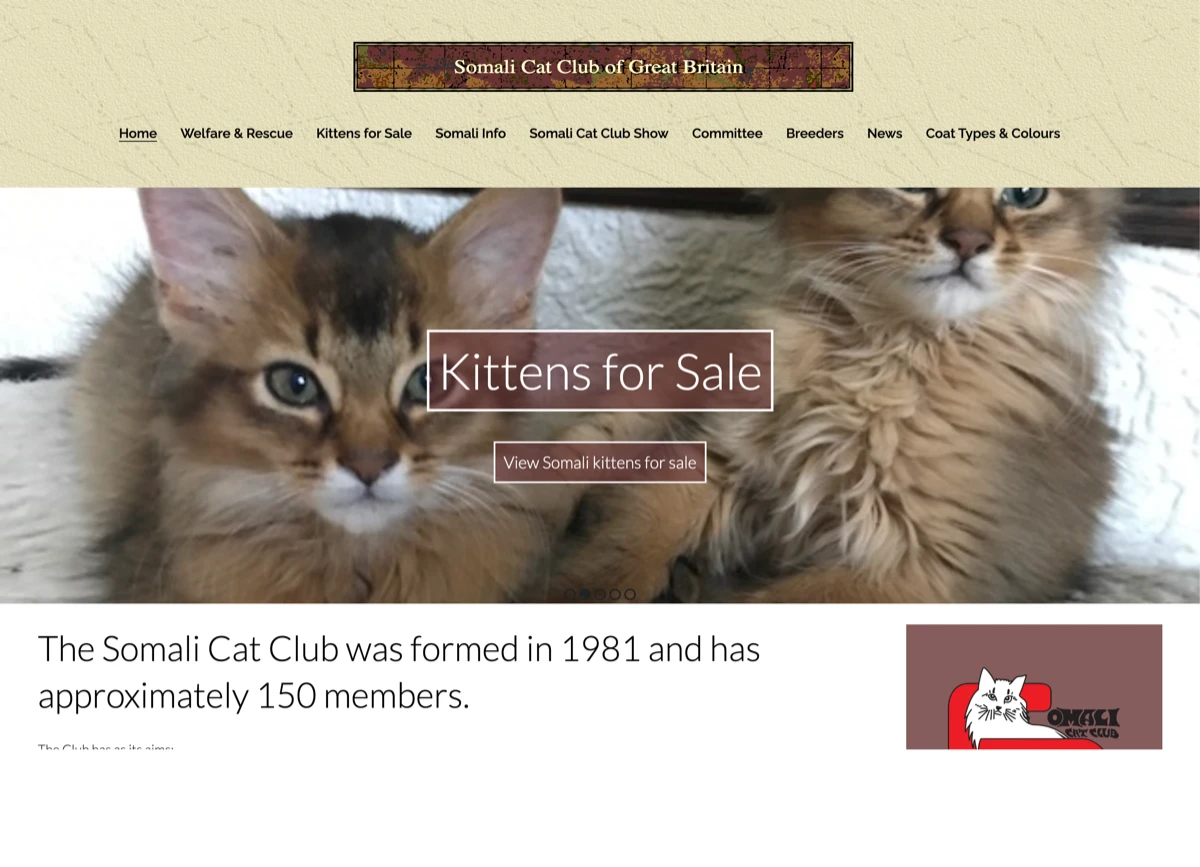 Screenshot of somalicatclub.com